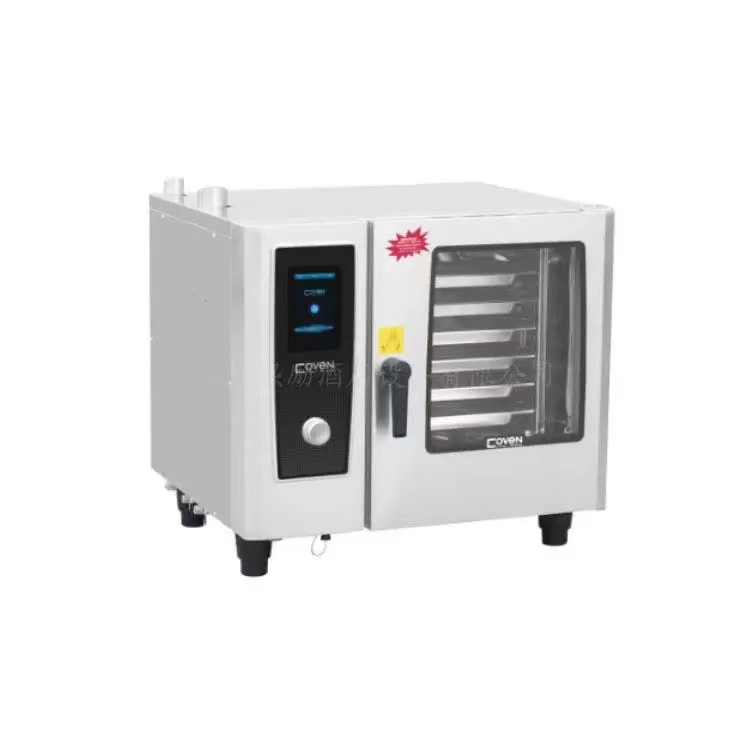 10 gas electronic version universal steam oven