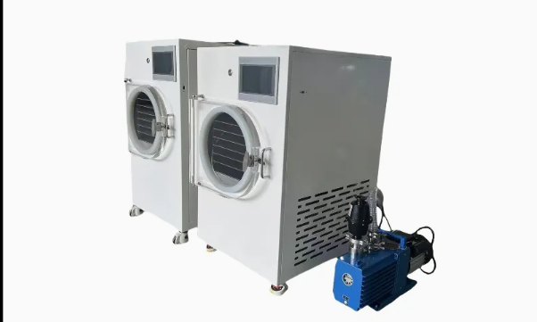 Fruit and vegetable drying equipment
